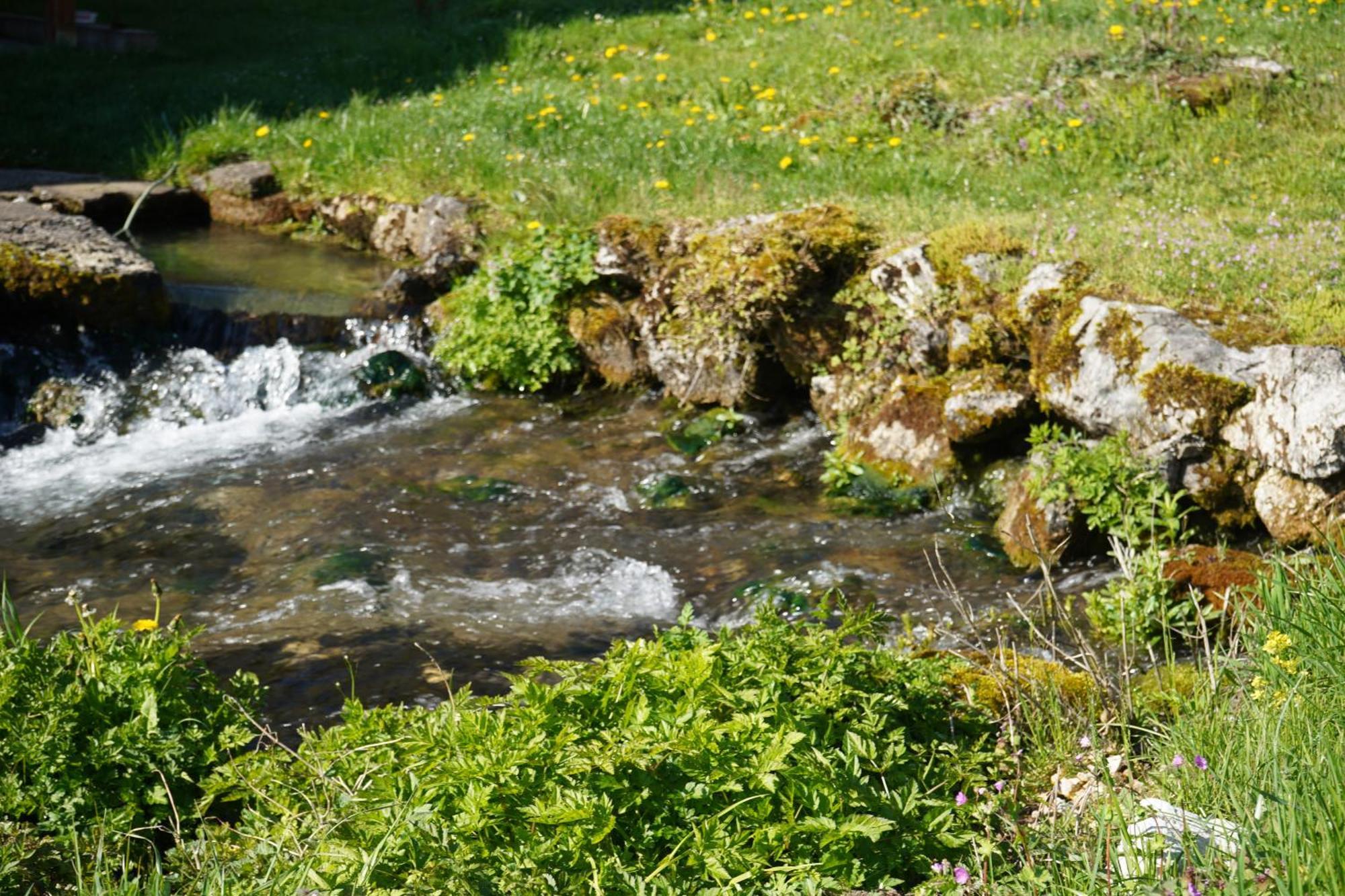 Domacinstvo Na Kraju Svijeta Guest House Sipovo Luaran gambar